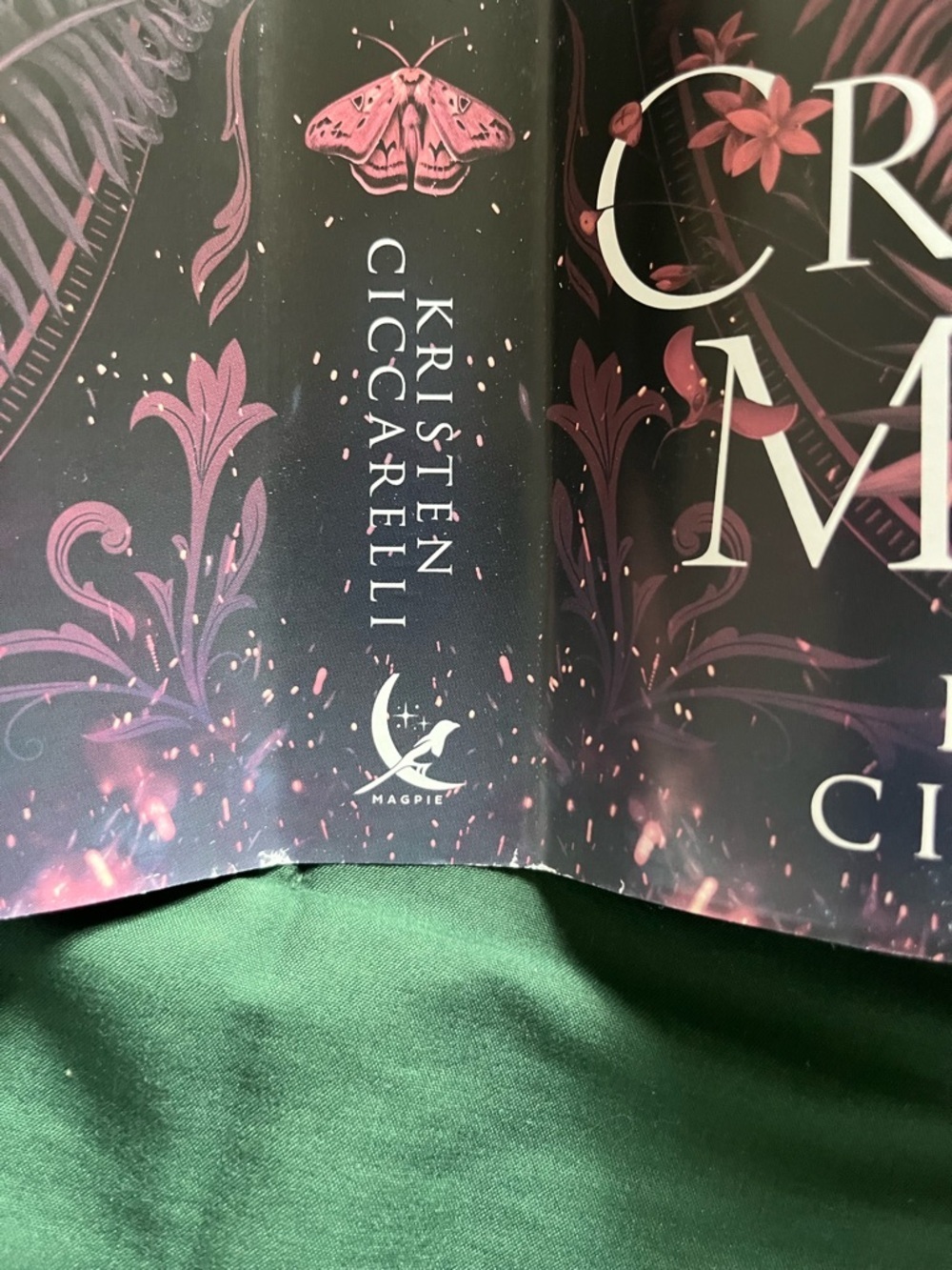 Fairyloot the Crimson Moth and The Rebel Witch - Picture 6 of 7